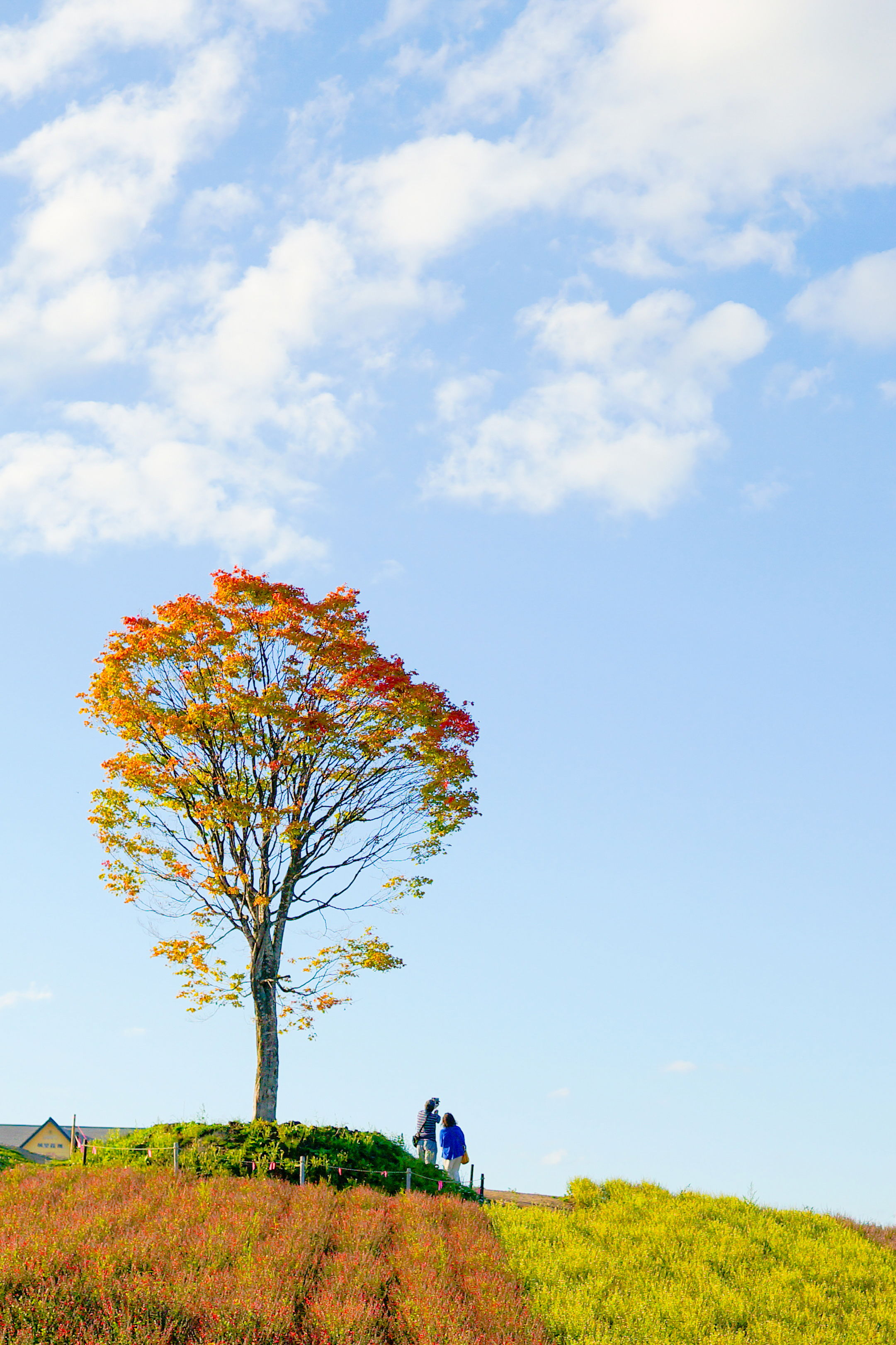 Minji Kong - YourStoryMatters